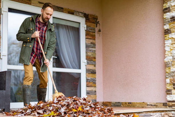 Best Dumpster Rental Services  in Boone, IA